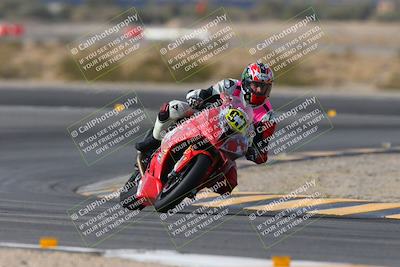 media/Jan-19-2024-Apex Assassins-CVMA Friday (Fri) [[74e94f2102]]/Trackday 1/Session 2 (Turn 11)/